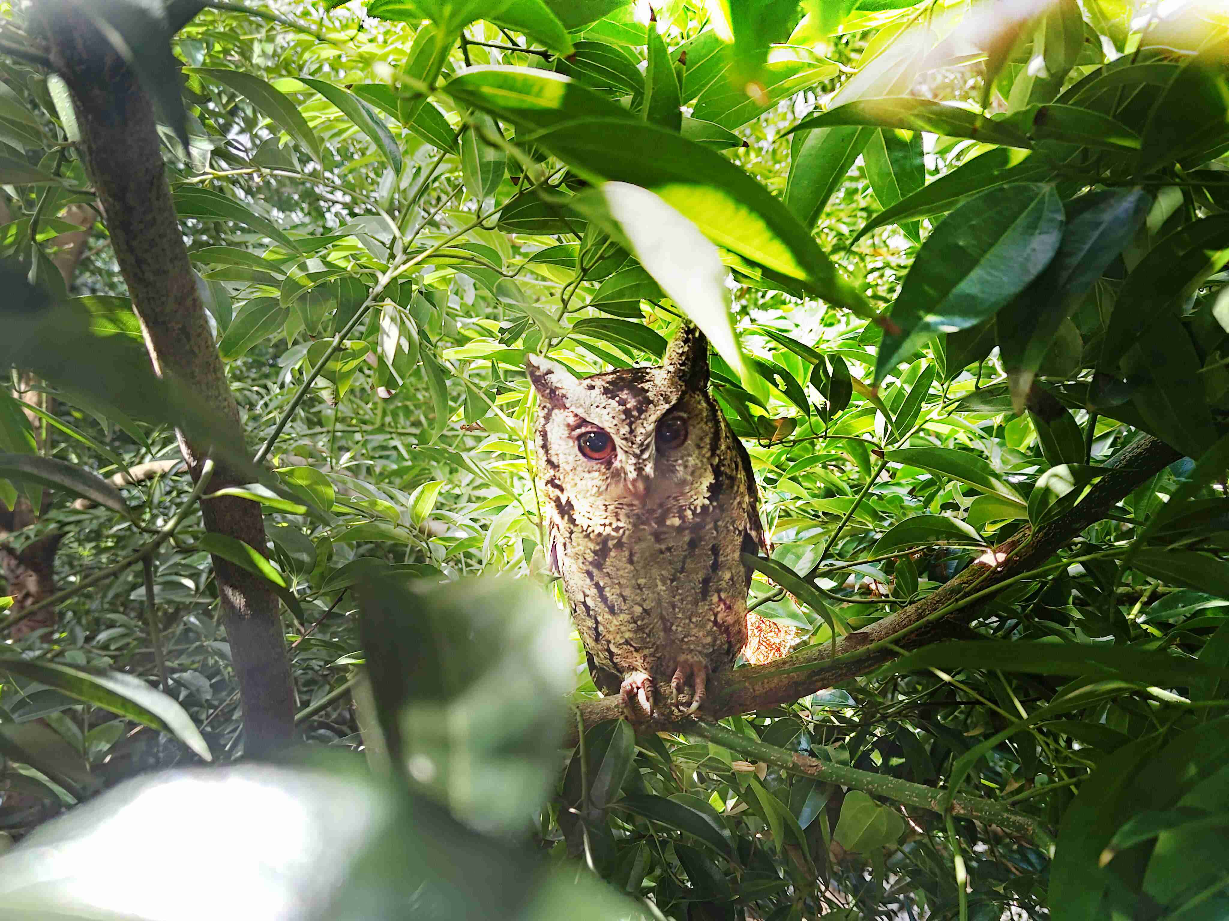PG国际致力提倡净零绿生活，，，16年以来在全球各厂区植树逾百万棵，，，，造就各厂区树木蔚然成林，，，，犹如森林工厂，，，成为许多生物的栖息地